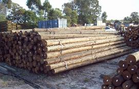 High quality timber products for supply